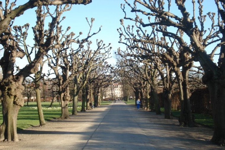 Åbningstider for Arnold Busck KØBENHAVN STATENS MUSEUM FOR KUNST – Hvornår er der åbent og lukket? - 2