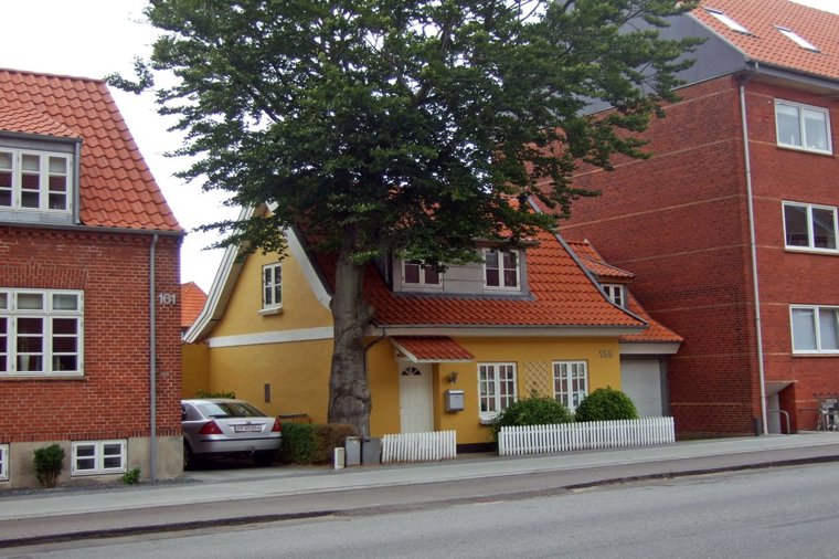 Åbningstider for BOGhandleren Varmings Boghandel – Hvornår er der åbent og lukket? - 2