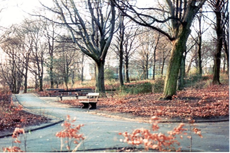 Åbningstider for Bone