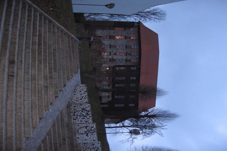 Åbningstider for Bone