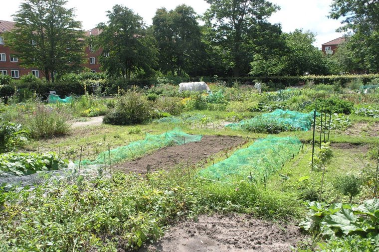 Åbningstider for ComputerCity Lyngby – Hvornår er der åbent og lukket? - 2