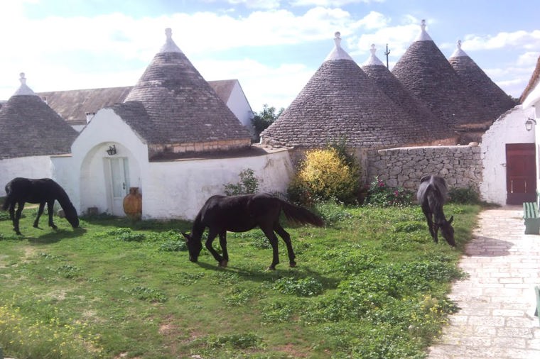 Åbningstider for Diesel - Copenhagen – Hvornår er der åbent og lukket? - 1