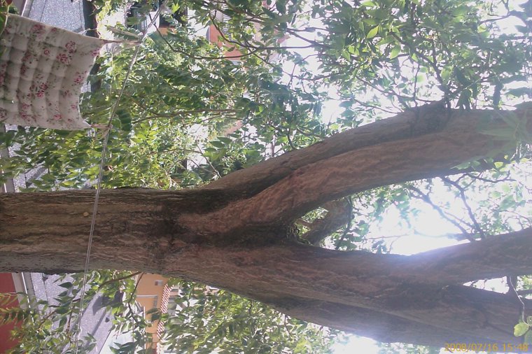 Åbningstider for Ecco INTERSPORT Friis – Hvornår er der åbent og lukket? - 1