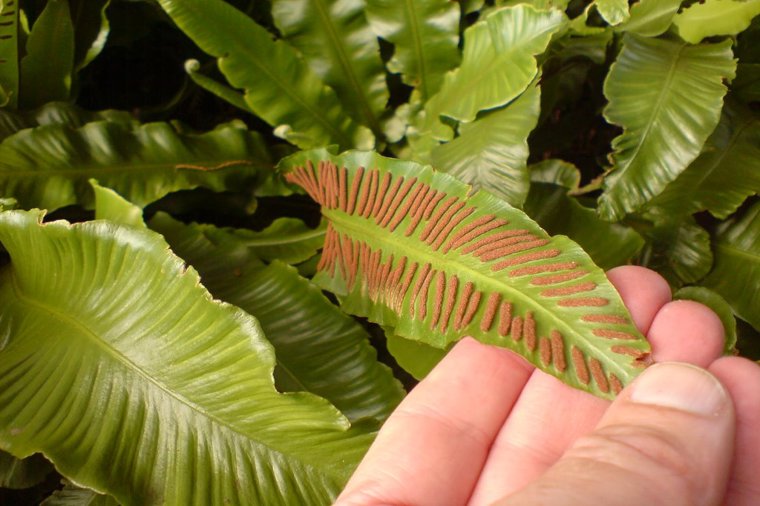 Åbningstider for Ecco JOYRUN – Hvornår er der åbent og lukket? - 1