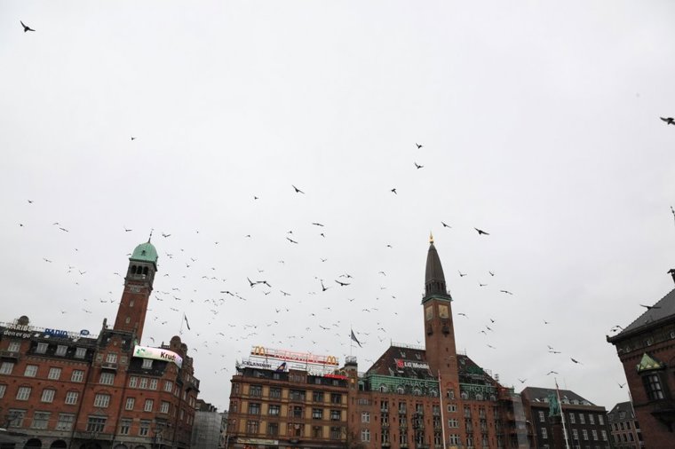 Åbningstider for Envii KØBENHAVN Magasin – Hvornår er der åbent og lukket? - 1