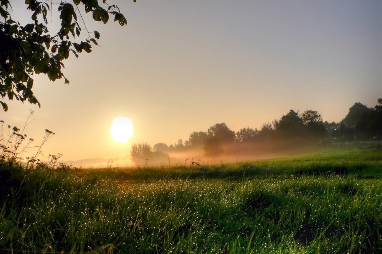Åbningstider for Europcar Lyngby – Hvornår er der åbent og lukket? - 1