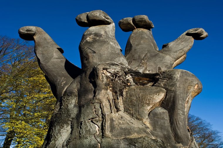 Åbningstider for Eventyrsport Roskilde – Hvornår er der åbent og lukket? - 2