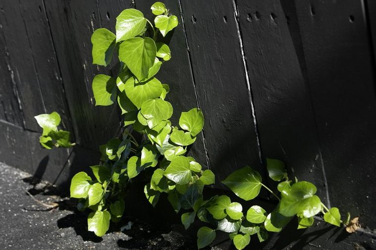 Åbningstider for Fætter BR København S – Hvornår er der åbent og lukket? - 1