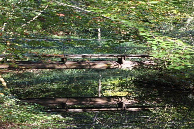 Åbningstider for Flexa Odense C – Hvornår er der åbent og lukket? - 1