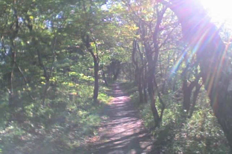 Åbningstider for Fona Esbjerg – Hvornår er der åbent og lukket? - 2