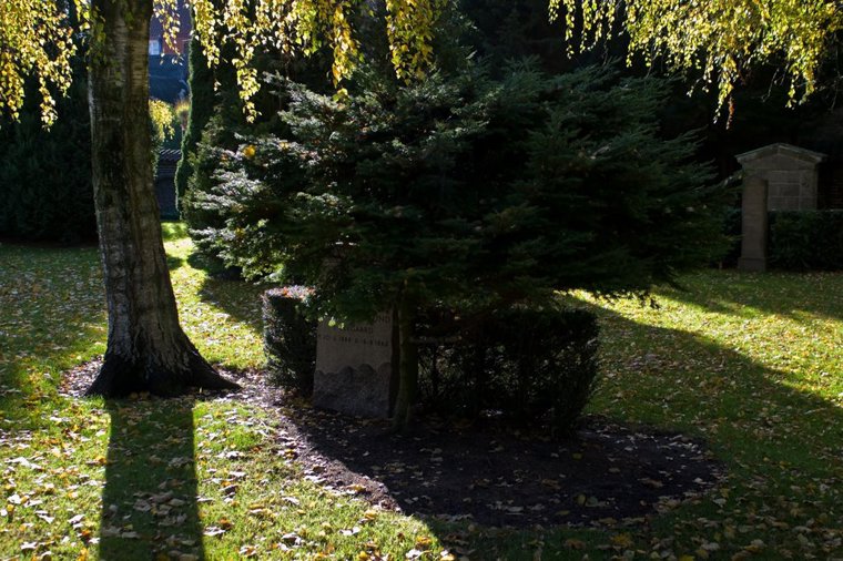 Åbningstider for Fri BikeShop Roskilde – Hvornår er der åbent og lukket? - 1