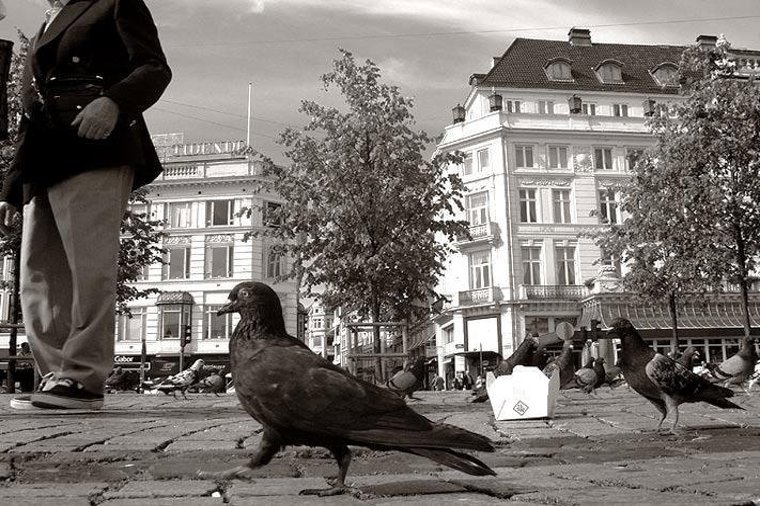 Åbningstider for Gucci gucci copenhagen ostergade – Hvornår er der åbent og lukket? - 2