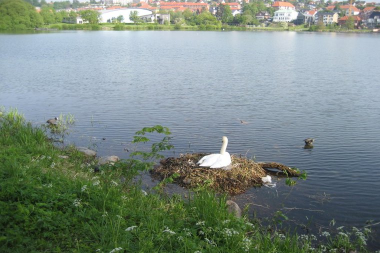 Åbningstider for Havanna Shoes Odense, OUTLET – Hvornår er der åbent og lukket? - 1