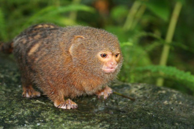 Åbningstider for Helly Hansen SPORT 24 AARHUS – Hvornår er der åbent og lukket? - 2