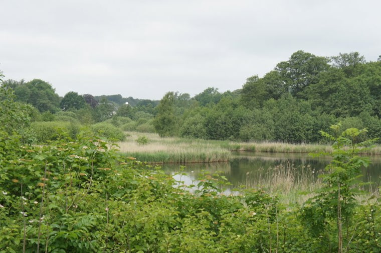 Åbningstider for Helly Hansen SPORT 24 TEAM HADERSLEV – Hvornår er der åbent og lukket? - 2