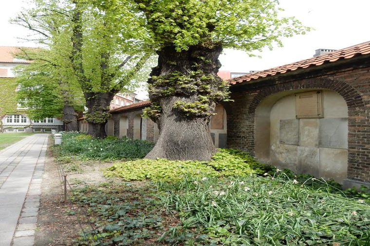 Åbningstider for House Doctor AKIMBO – Hvornår er der åbent og lukket? - 1