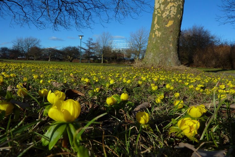 Åbningstider for House Doctor WULFF OG KONSTALI – Hvornår er der åbent og lukket? - 1