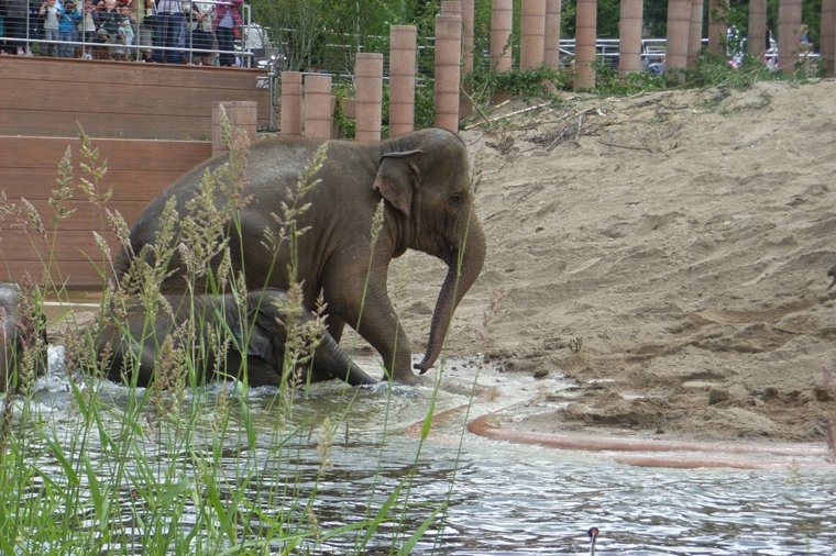 Åbningstider for Hunkemöller København S – Hvornår er der åbent og lukket? - 1