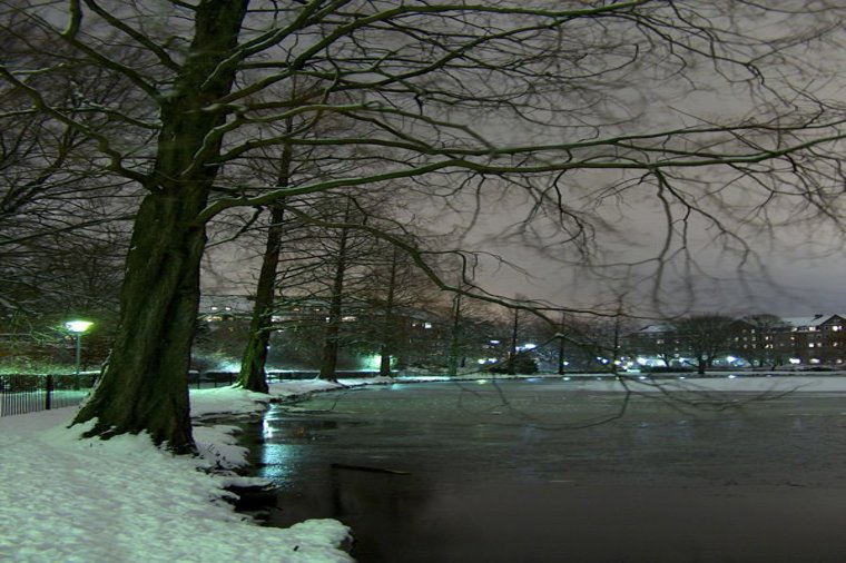 Åbningstider for Interflora Jonas Jensen Blomsterdesign – Hvornår er der åbent og lukket? - 2