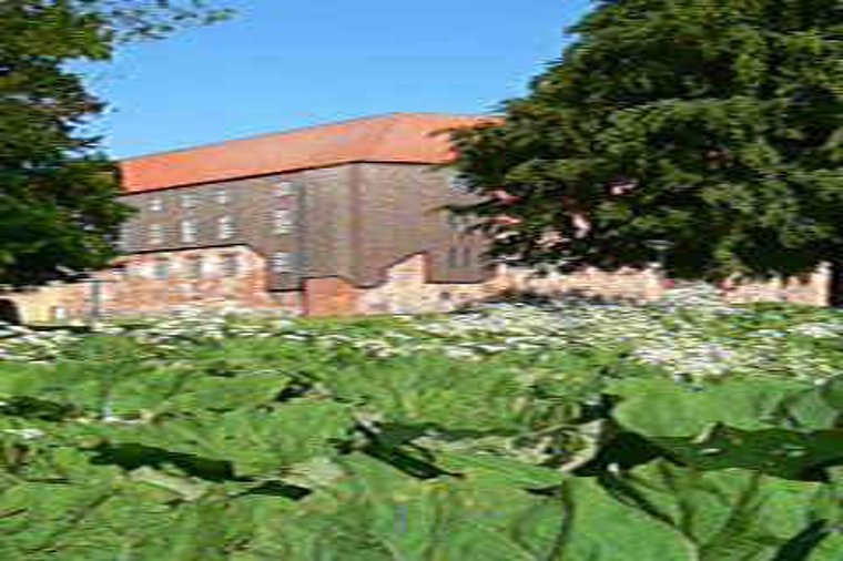 Åbningstider for Intersport Kolding – Hvornår er der åbent og lukket? - 2