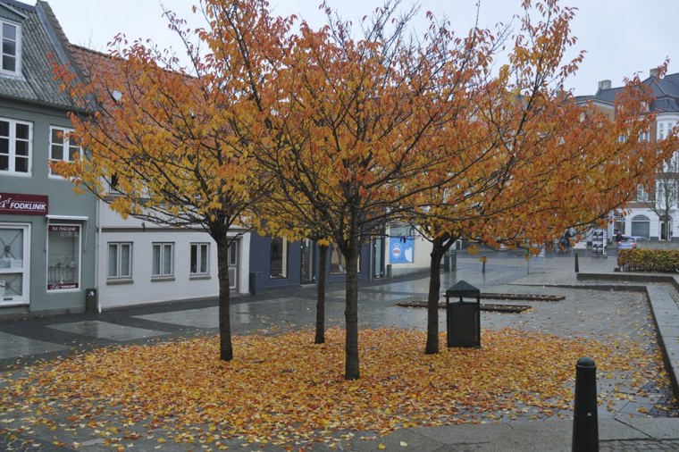 Åbningstider for Kop & Kande Horsens – Hvornår er der åbent og lukket? - 1