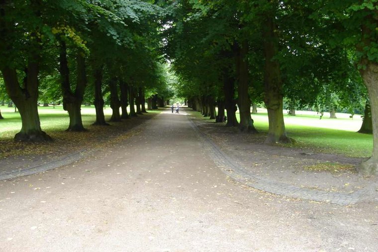 Åbningstider for Levi