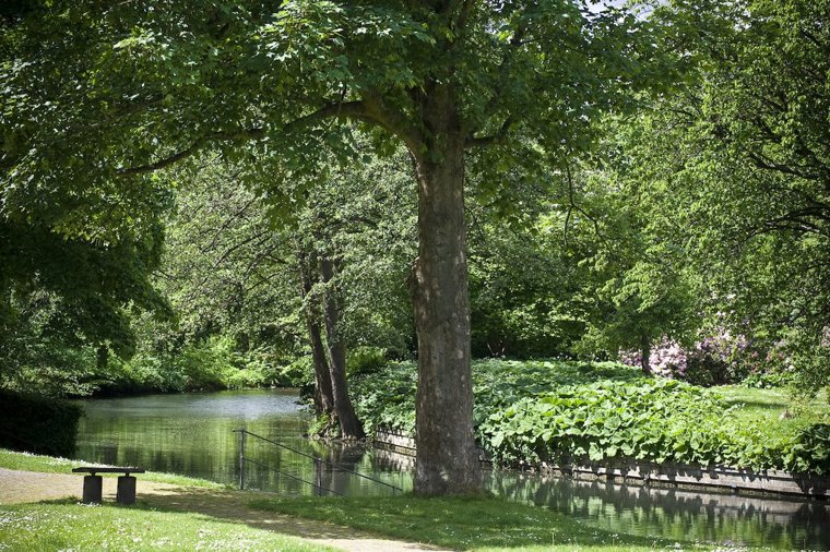 Åbningstider for Lexington Magasin Du Nord – Hvornår er der åbent og lukket? - 2