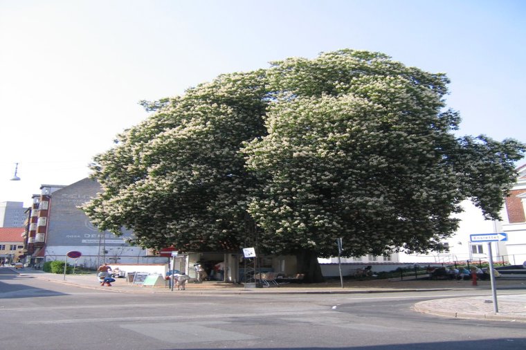 Åbningstider for Matas Aalborg – Hvornår er der åbent og lukket? - 2