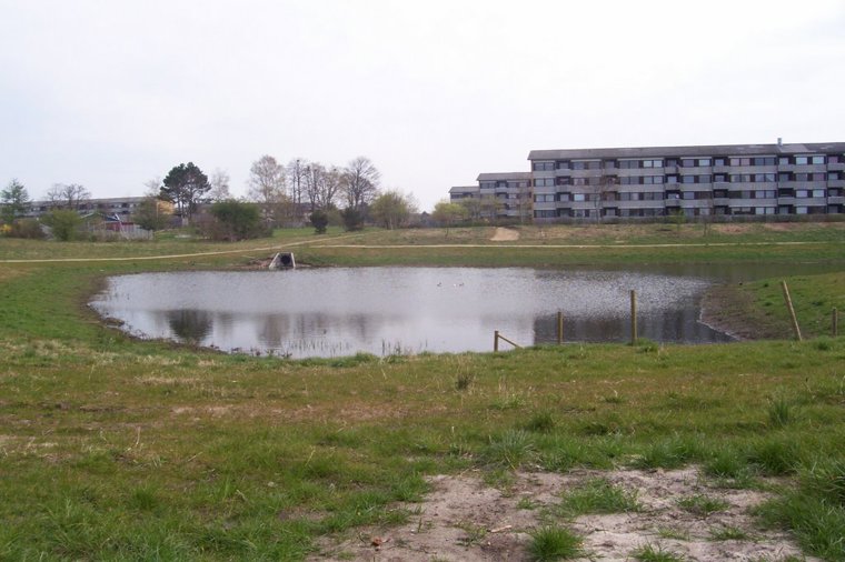 Åbningstider for Maxi Zoo Silkeborg – Hvornår er der åbent og lukket? - 2