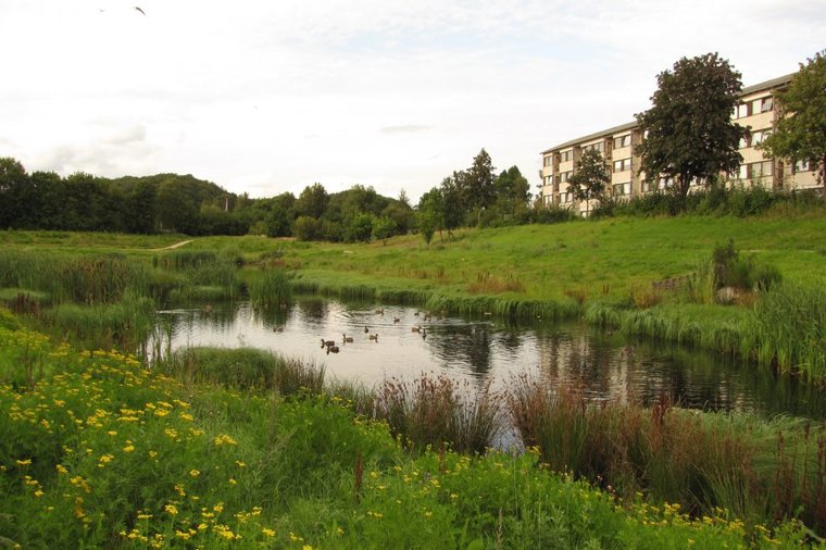 Åbningstider for McDonald