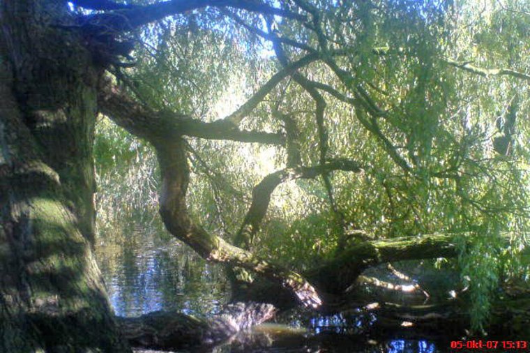 Åbningstider for NORDISK FILM BIOGRAFER Lyngby – Hvornår er der åbent og lukket? - 1