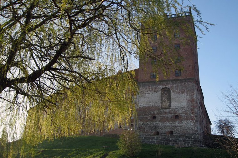 Åbningstider for NZA Mr Hübner – Hvornår er der åbent og lukket? - 2