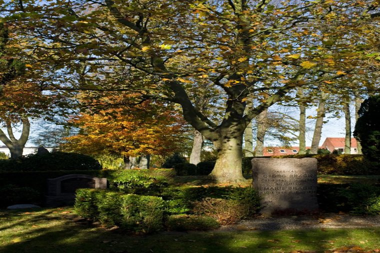 Åbningstider for Pakkeboks Roskilde – Hvornår er der åbent og lukket? - 2