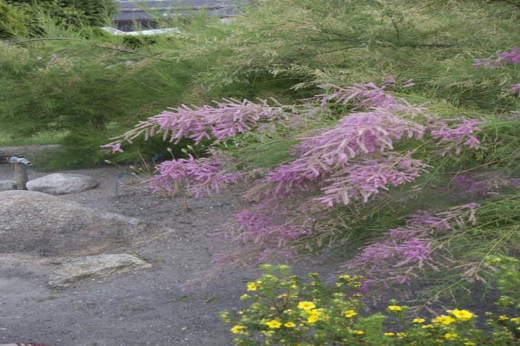 Åbningstider for Panduro Hobby København K – Hvornår er der åbent og lukket? - 1