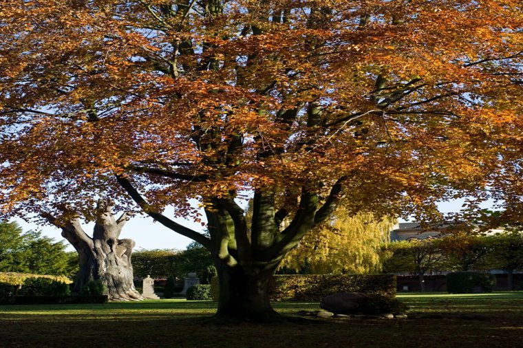 Åbningstider for Post Danmark - Posthus Posthus Roskilde – Hvornår er der åbent og lukket? - 1
