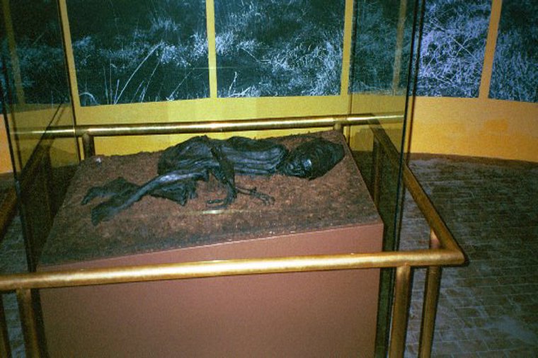 Åbningstider for Selected Silkeborg – Hvornår er der åbent og lukket? - 2