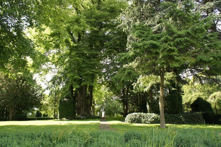 Åbningstider for Solo Svendborg – Hvornår er der åbent og lukket? - 2