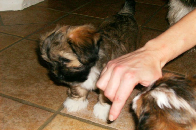 Åbningstider for Spejdersport Esbjerg – Hvornår er der åbent og lukket? - 2