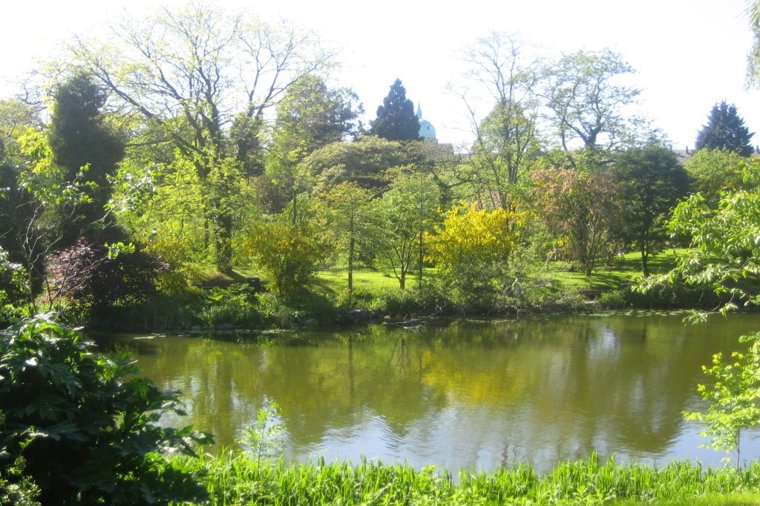 Åbningstider for Spejdersport København K – Hvornår er der åbent og lukket? - 2