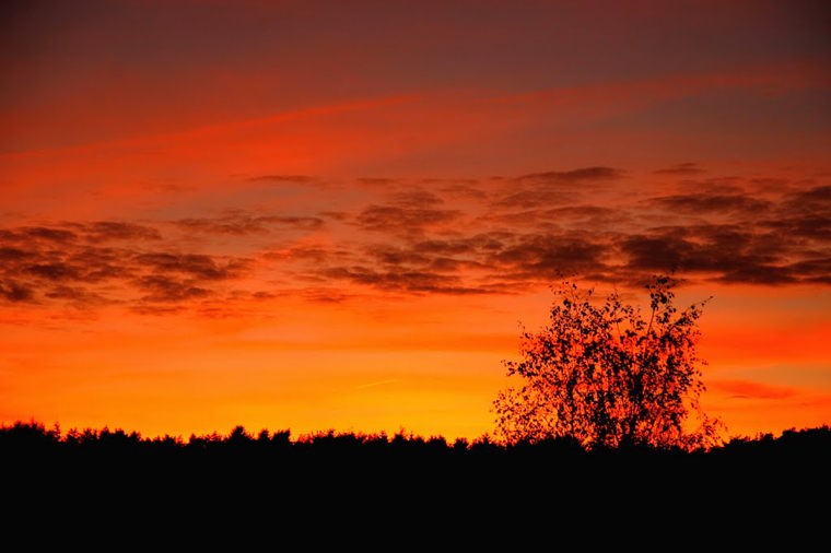 Åbningstider for Sport24Outlet - Silkeborg – Hvornår er der åbent og lukket? - 2
