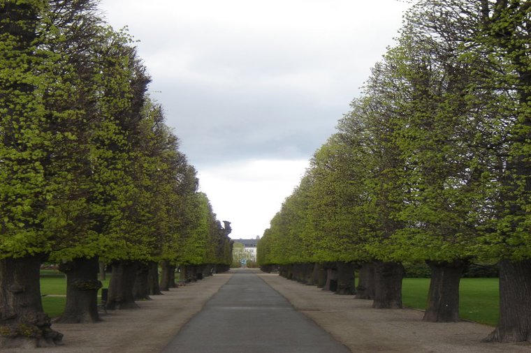 Åbningstider for Sticks N