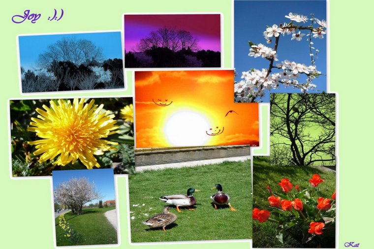 Åbningstider for SuperBrugsen Superbrugsen Tårnby Torv – Hvornår er der åbent og lukket? - 1