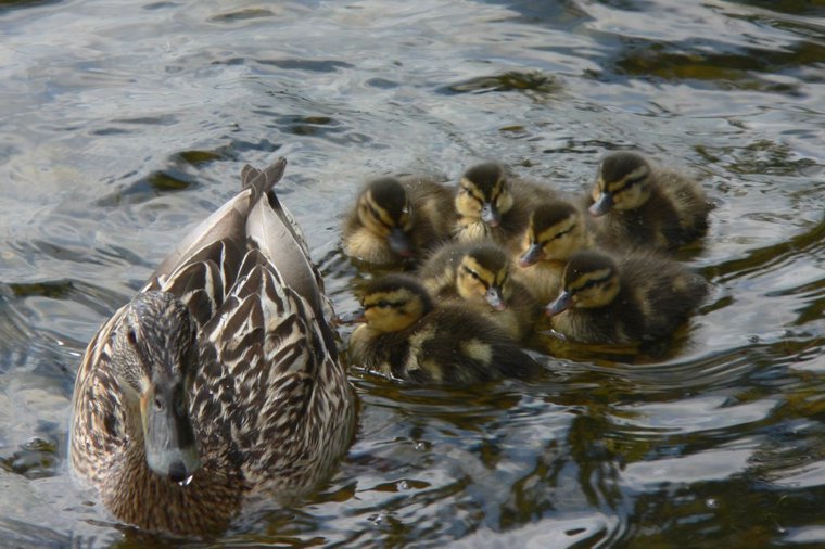 Åbningstider for Sydbank København S – Hvornår er der åbent og lukket? - 1