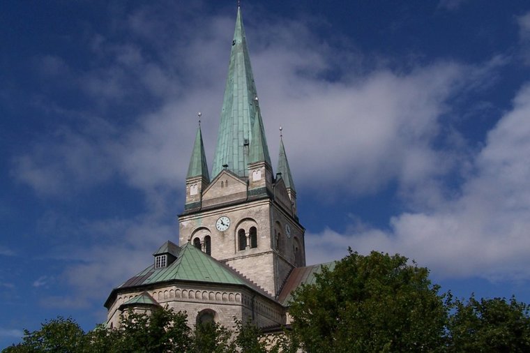 Åbningstider for Tiger Aalborg – Hvornår er der åbent og lukket? - 2