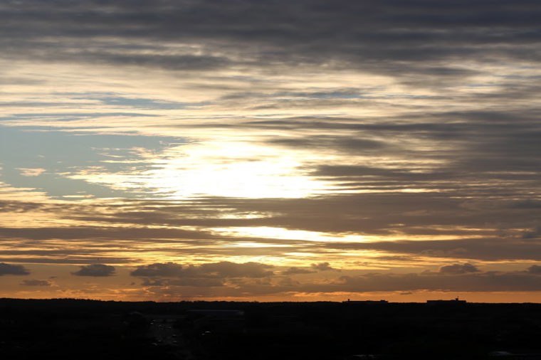 Åbningstider for Tiger Kastrup – Hvornår er der åbent og lukket? - 2