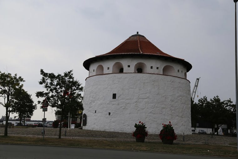 Åbningstider for Tiger Roskilde – Hvornår er der åbent og lukket? - 2