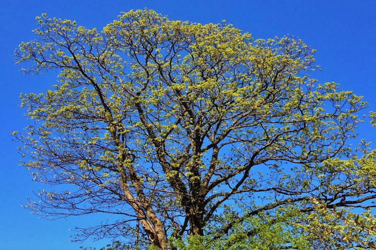 Åbningstider for Tøjeksperten Silkeborg – Hvornår er der åbent og lukket? - 1