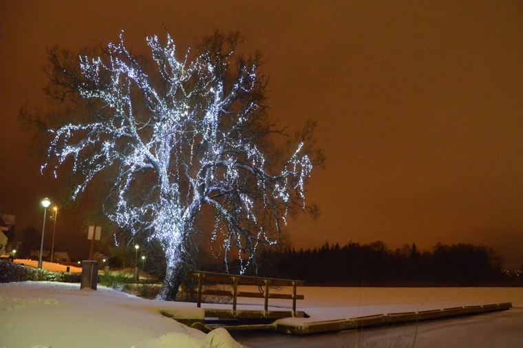 Åbningstider for Vagabond Preetz – Hvornår er der åbent og lukket? - 1